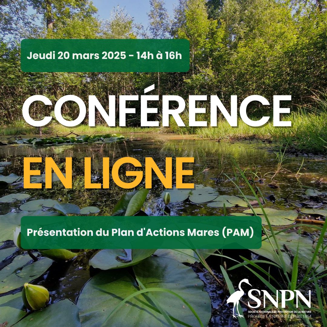 La Société nationale de protection de la nature organise une WebConférence pour vous présenter le Plan d’Actions Mares&nbsp;! 💻🐸