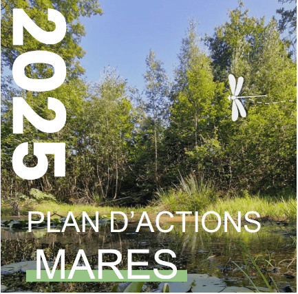 Plan d’actions mares