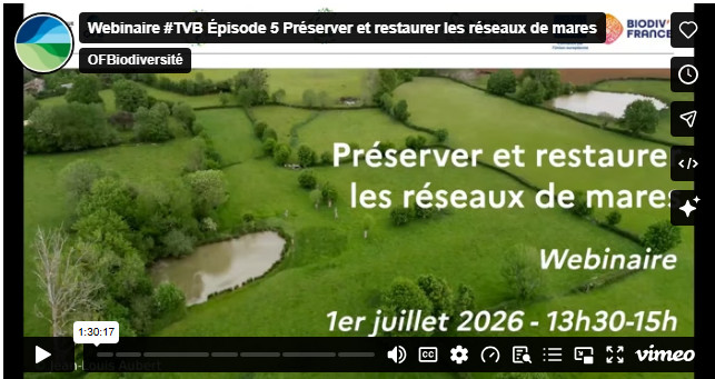 Visionnez le webinaire 