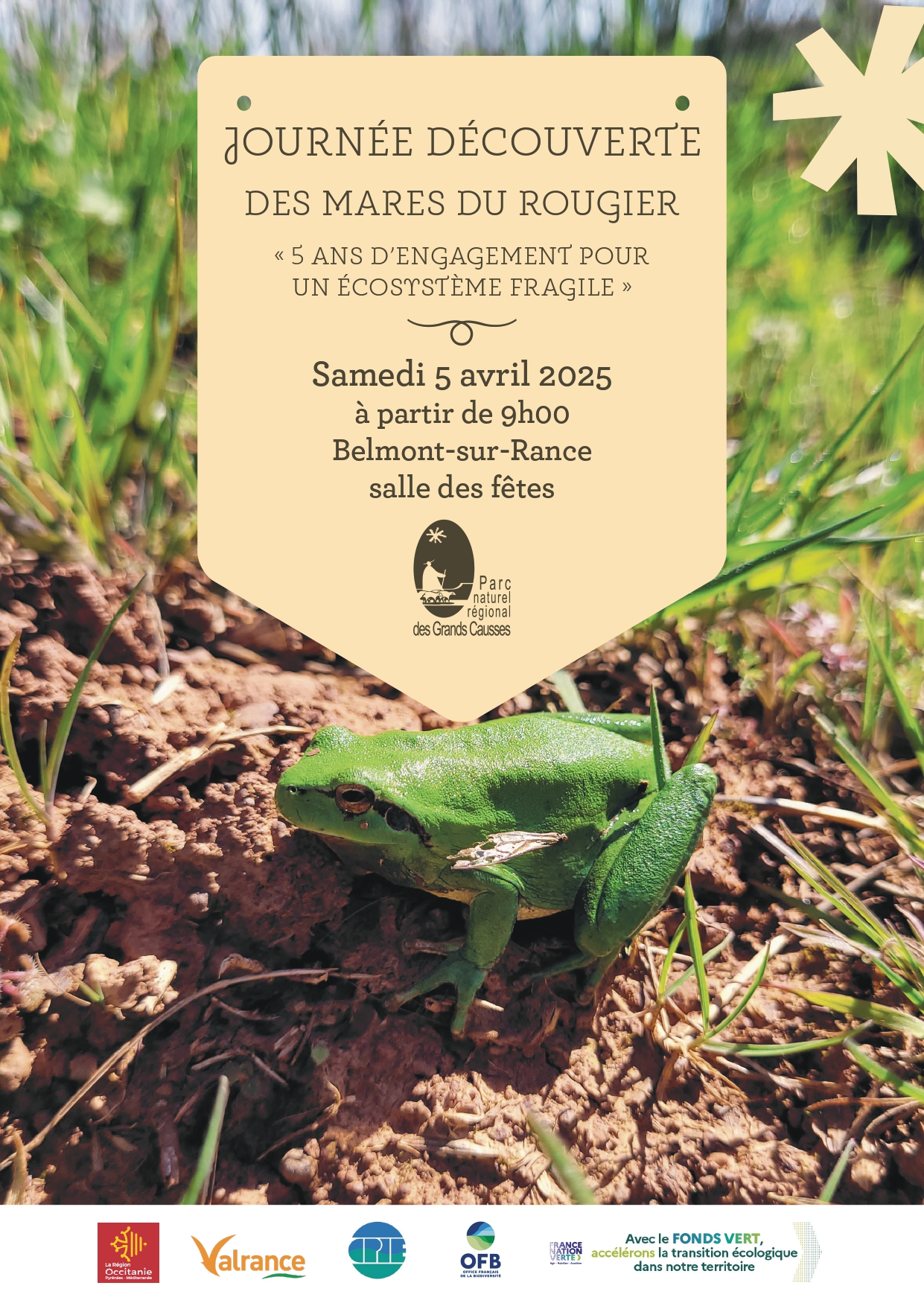 Une journée découverte consacrée aux mares du Rougier à Belmont-sur-Rance&nbsp;! 🐸
