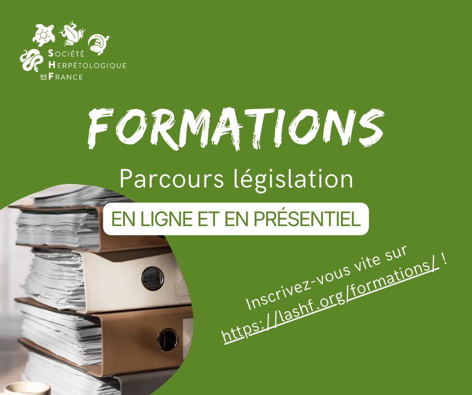 Les formations SHF