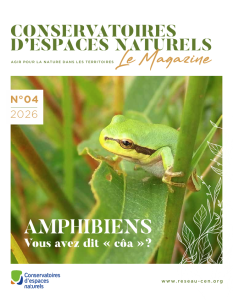 Un dossier spécial “Amphibiens” dans le dernier magazine des CEN