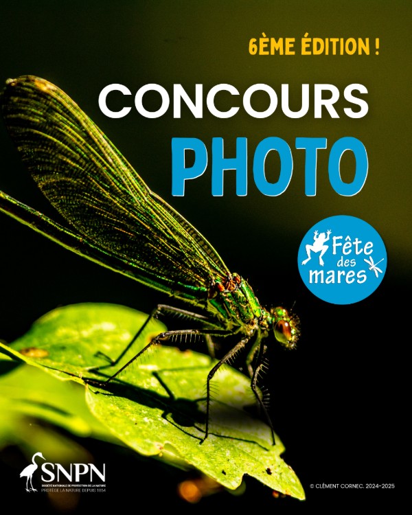 Lancement concours photo&nbsp;: Célébrons les mares à travers vos clichés&nbsp;!