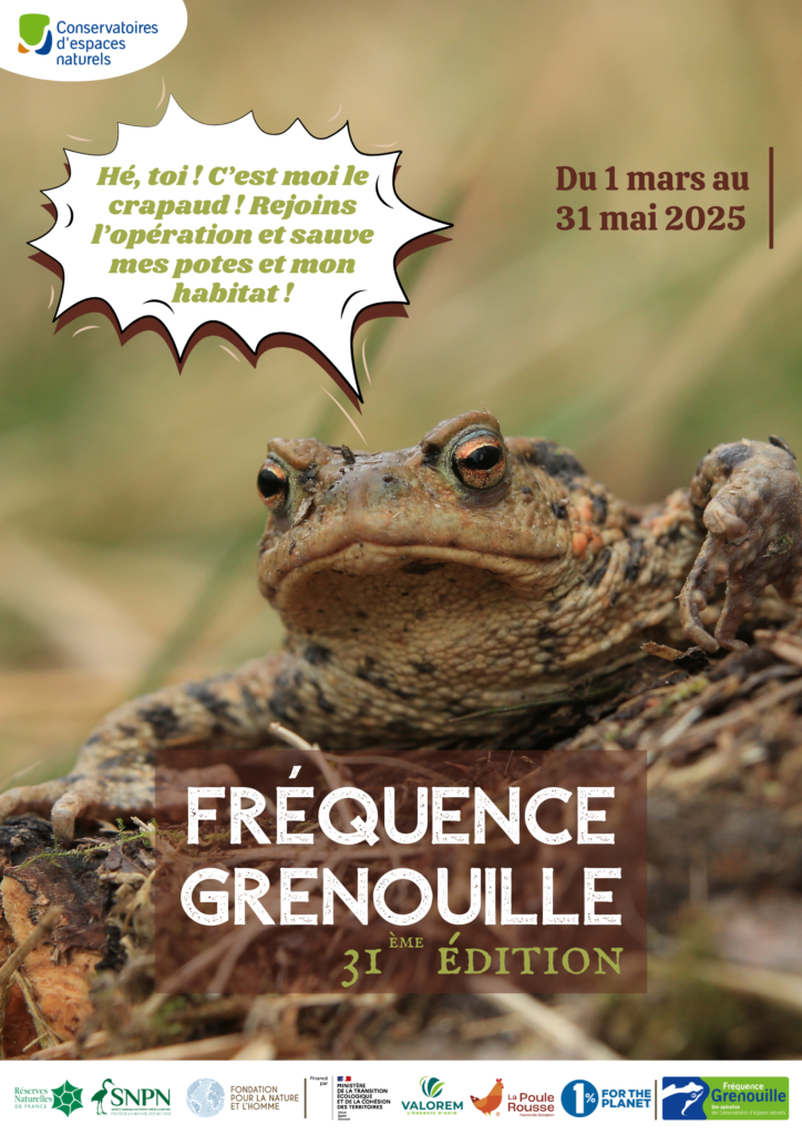L’opération Fréquence Grenouille revient pour sa 31ème Edition