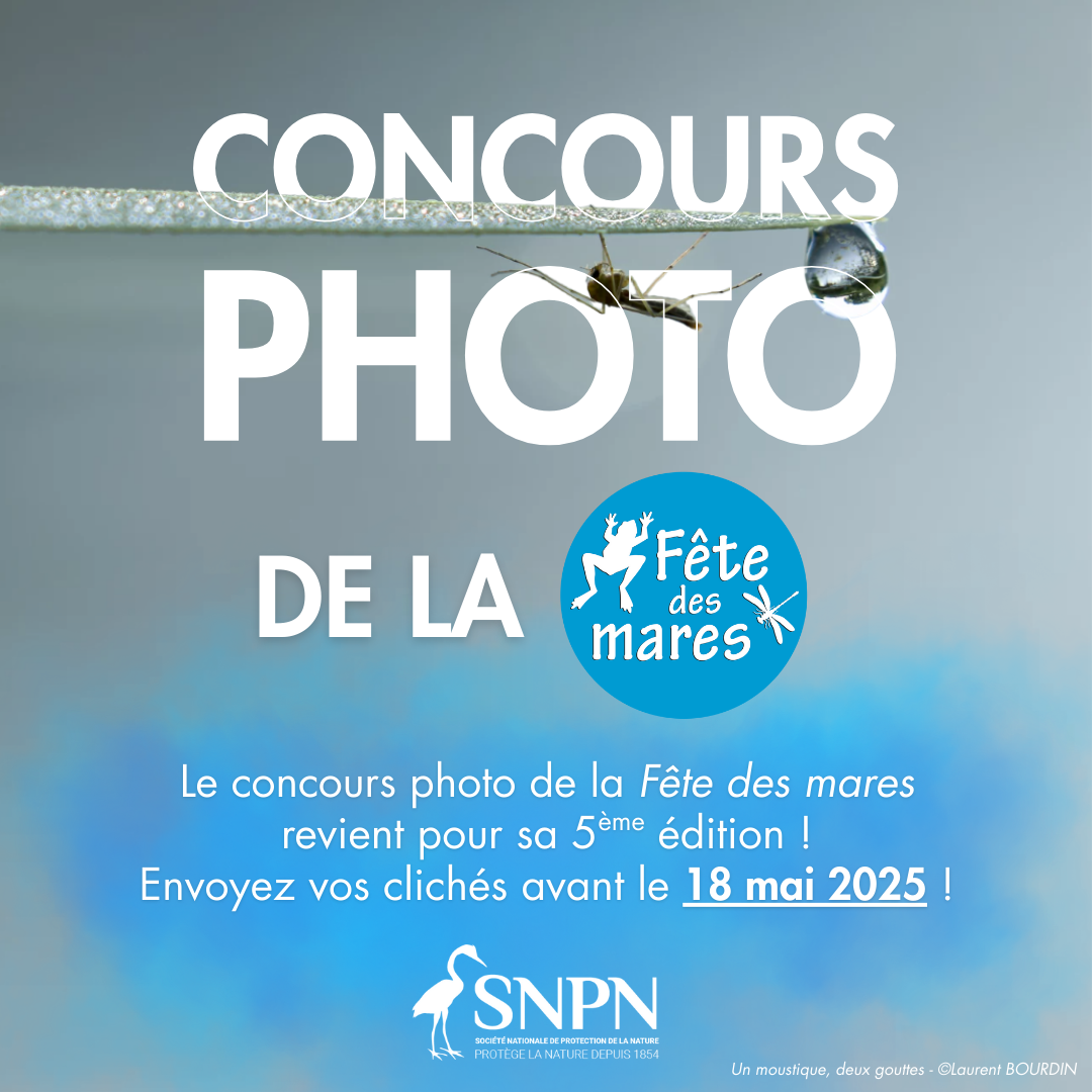  5ᵉ édition du concours photo de la Fête des mares&nbsp;! 