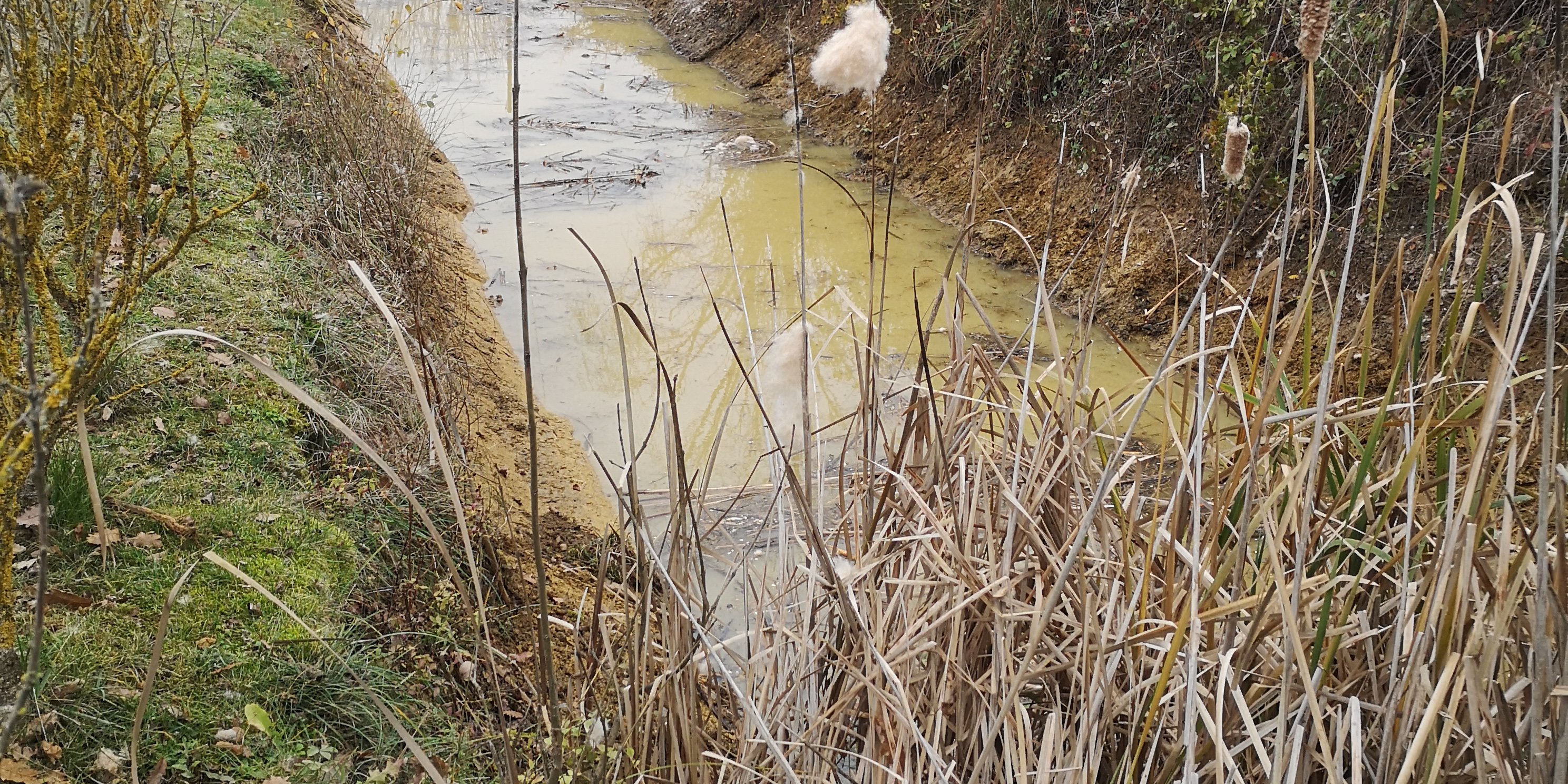 Mare du jardin après les travaux